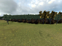 Download map: RO-Arad_Real_Forests3