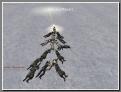gal/choinka/_thb_Shot00020.jpg