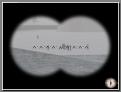 gal/choinka/_thb_Shot00024.jpg
